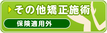 その他矯正施術